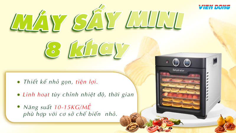 Lò sấy thực phẩm mini